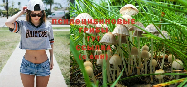 крисы Нефтекумск