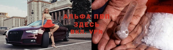 ГАЛЛЮЦИНОГЕННЫЕ ГРИБЫ Нея