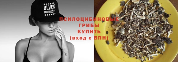 крисы Нефтекумск